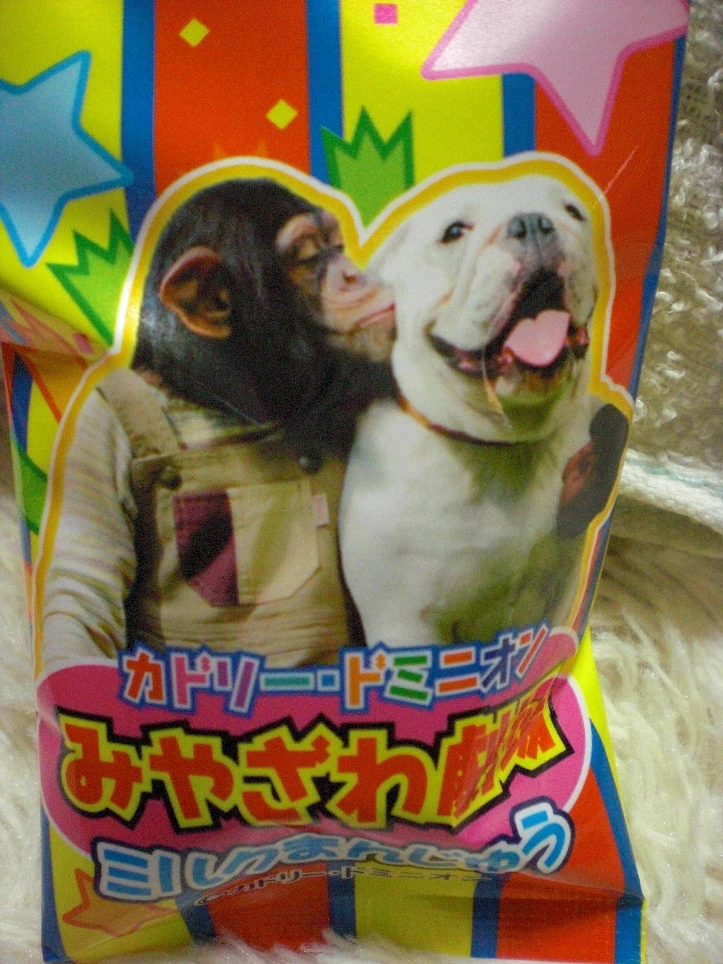 パンくんとジェームズ 熊本 カフェ行くんじゃけど ひろしま