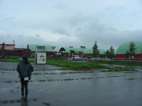 DSCN8261