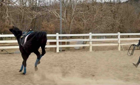 FullSizeRender