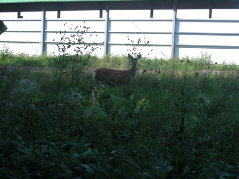 DSCN8532