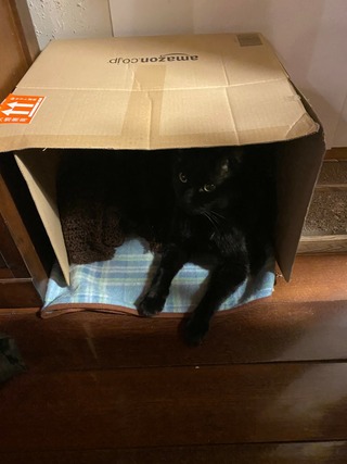 line_1395471033978710