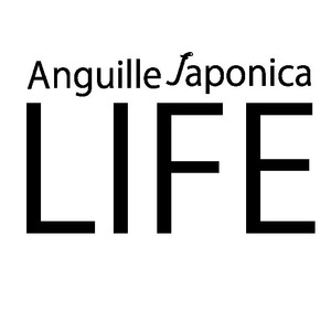 anguillelife
