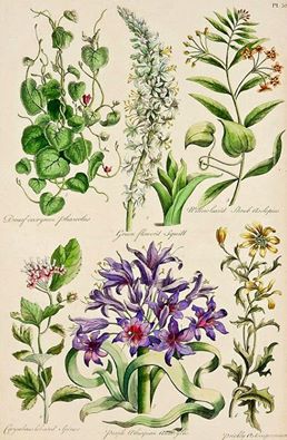 5月後半のお知らせ