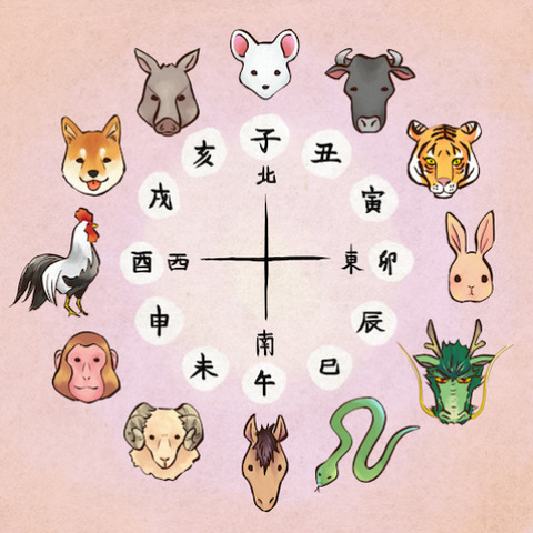 12支