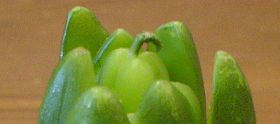 6b3f0a98.jpg