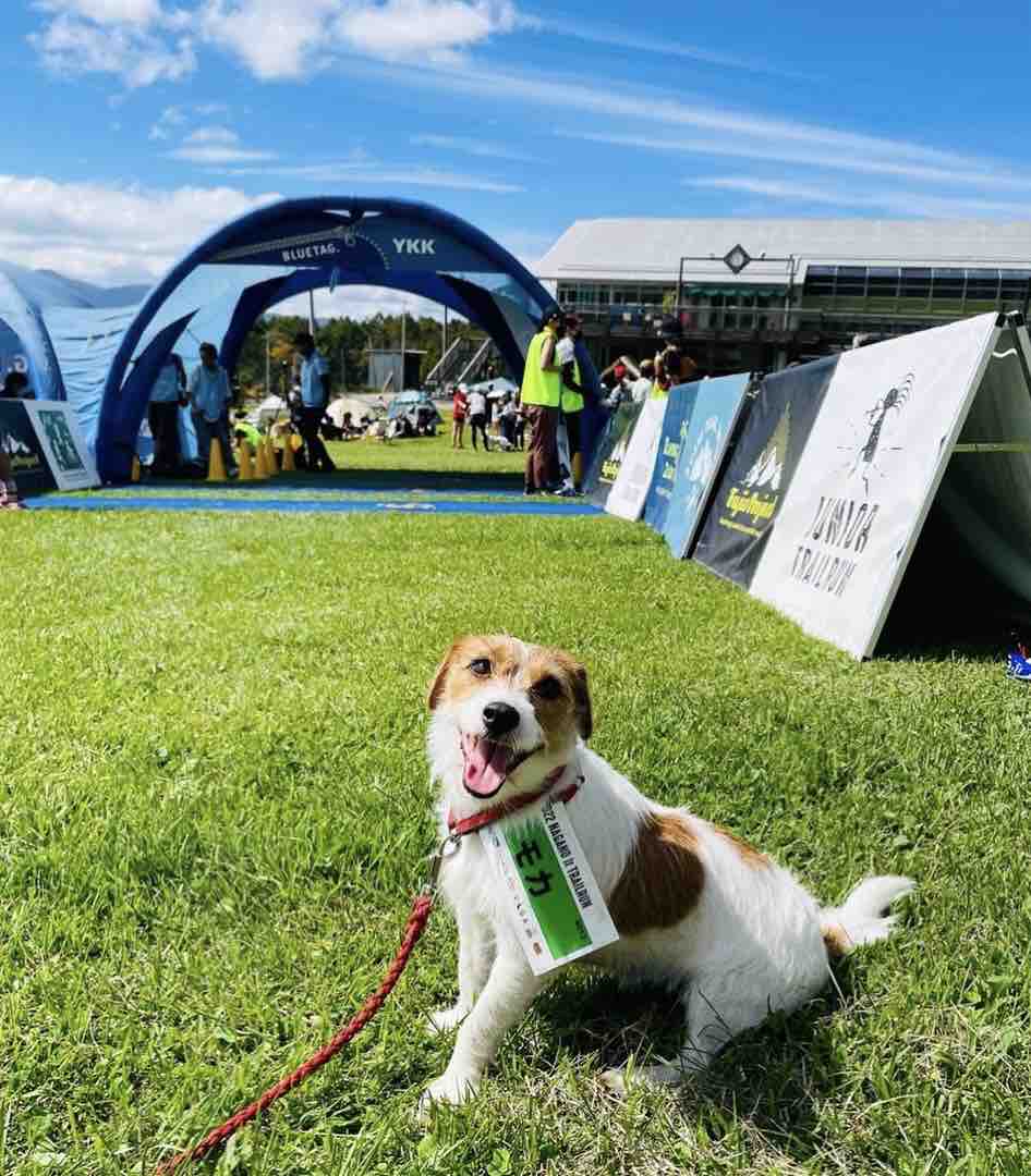 犬とトレラン大会 第7回NAGANO Jr TRAIL RUN in 富士見高原（長野県