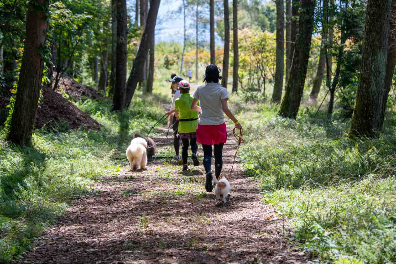 犬とトレラン大会 第7回NAGANO Jr TRAIL RUN in 富士見高原（長野県
