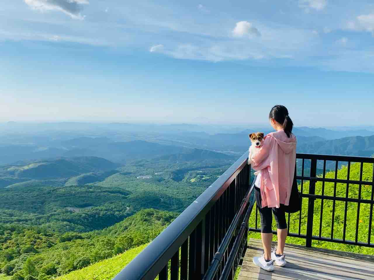犬連れ霧降高原キスゲ平園地（栃木県日光市） : 登山犬 ジャック