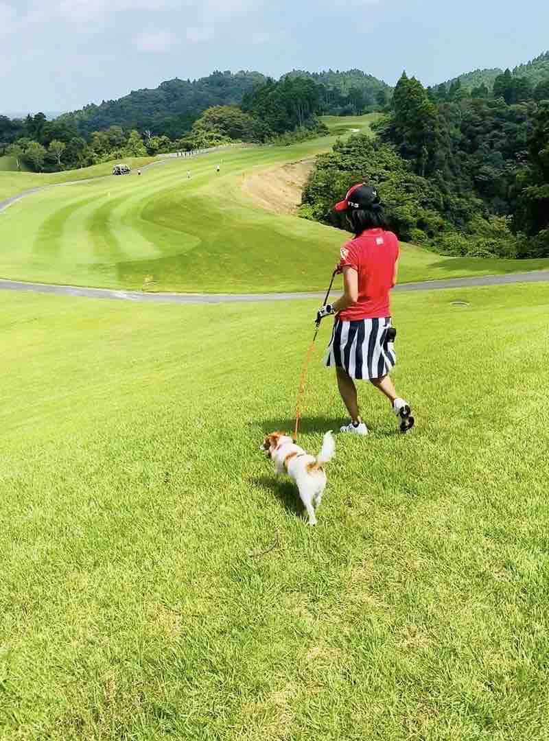 わんこ同伴ゴルフ ＠ABCいすみゴルフコース（千葉県） : 登山犬