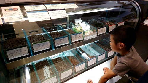 image1 (3)