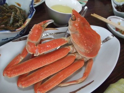 2012_04300019