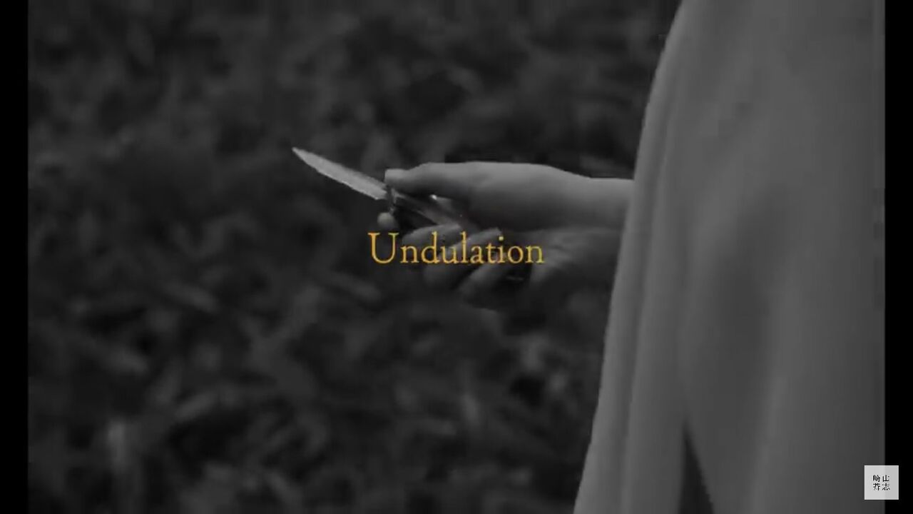 Undulation 崎山蒼志の歌詞の意味を考察 解説 自己の期待と他人の期待の乖離から生まれる うねり 小さな叫び声を聞き取る カフの深読みblog