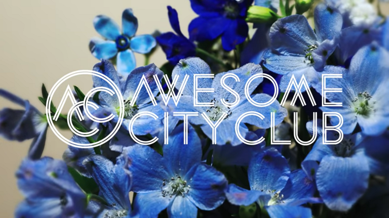 勿忘 Awsome City Clubの歌詞の意味を考察 解説 始まりと終わりの 春 に咲く 勿忘草 の花言葉 カフの深読みblog
