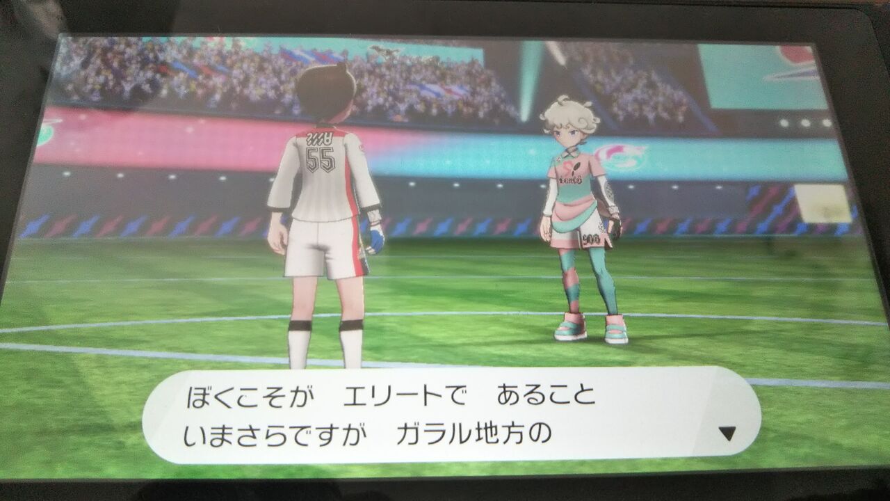 ポケモン剣盾の感想 期待の重さと様々な配慮について 魔術師ダッチの人生放浪日記