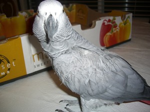 CIMG6264