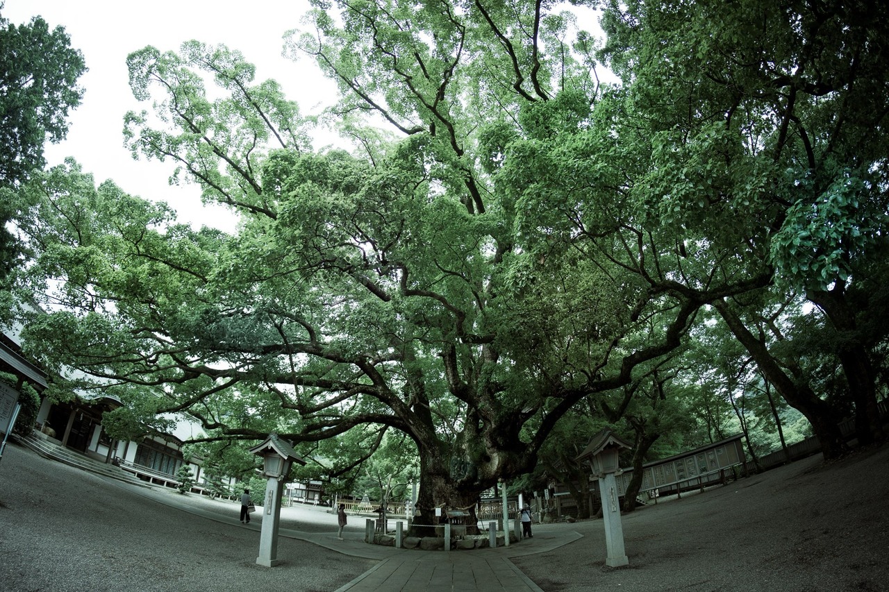 大麻比古神社05