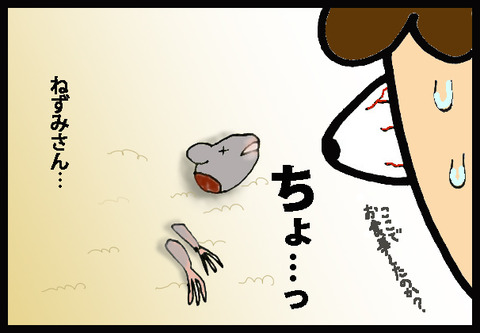 nekochan3-4