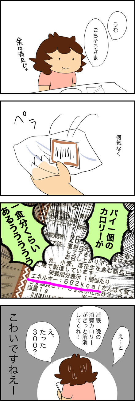 sep112026-2タームパイ