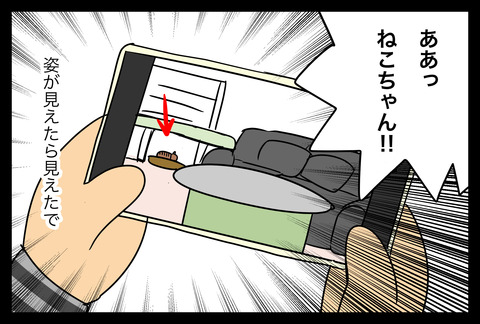 neko20181-3