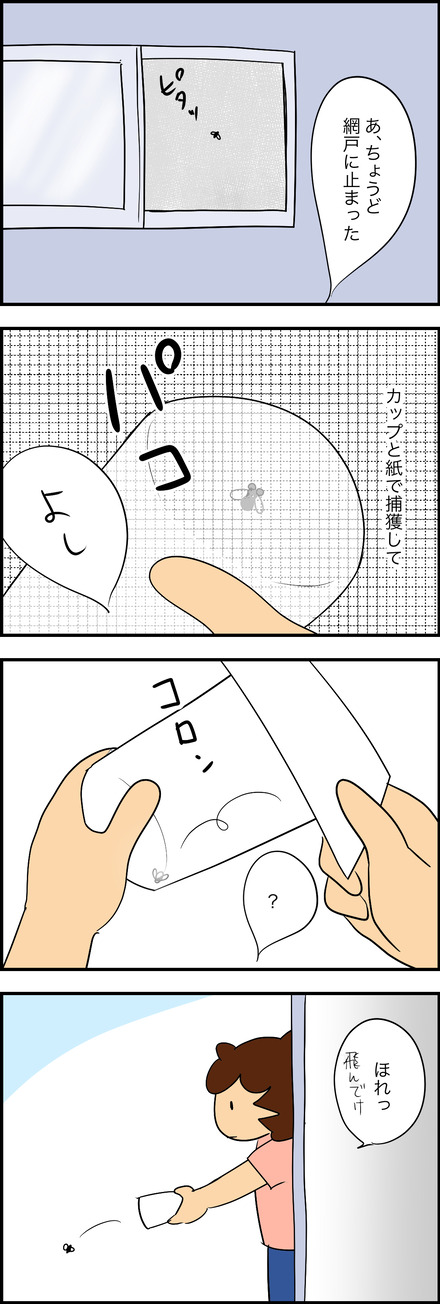 mar302025-2ハエ