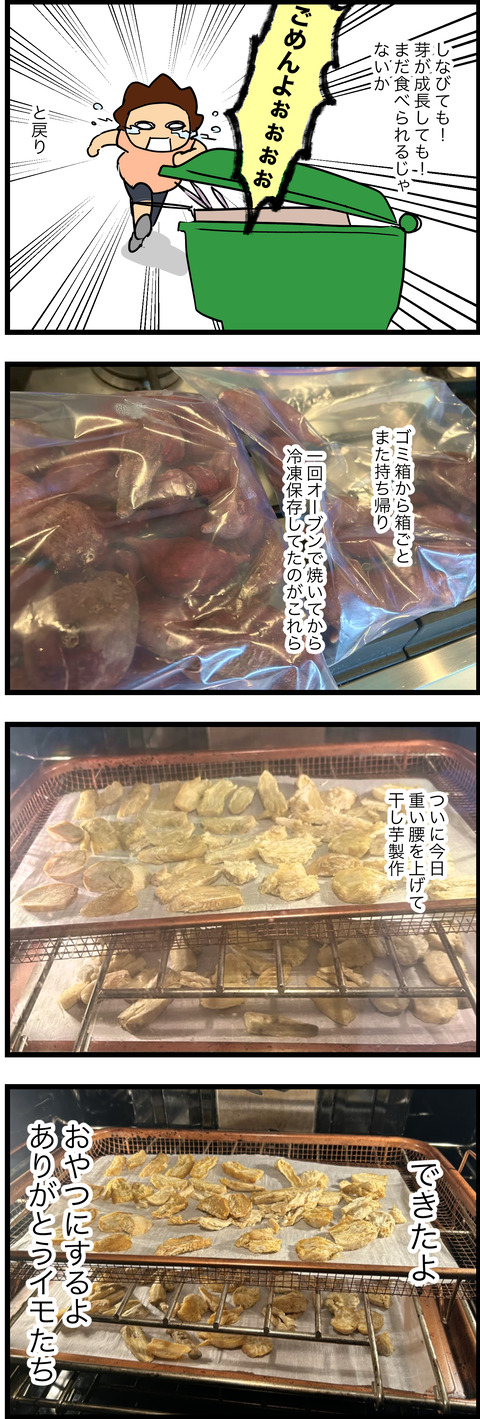 jan222023-3サツマイモ