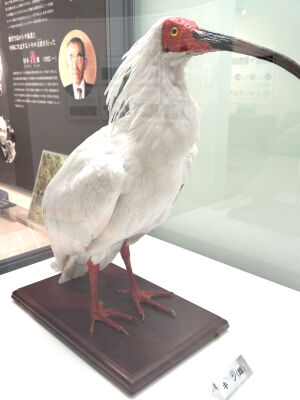 1C425708-DF8E-42A2-8260-BE073EF1931F_1_105_c