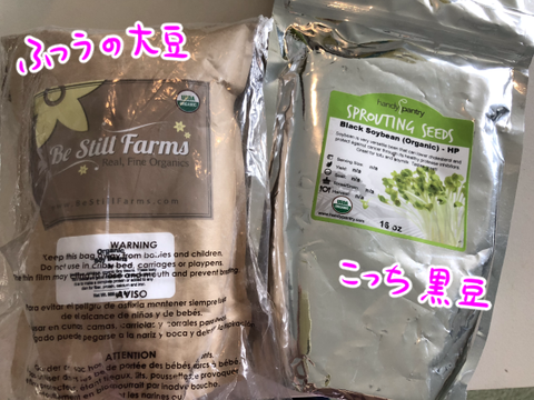 natto1-1