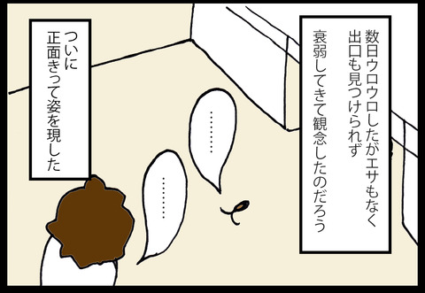 gnoito1-6
