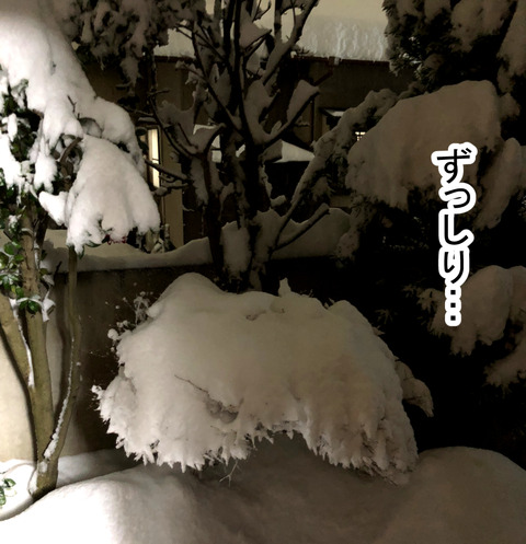 snow1-7