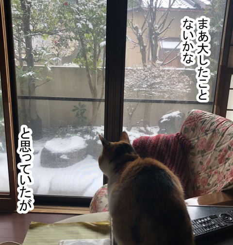 snow1-5