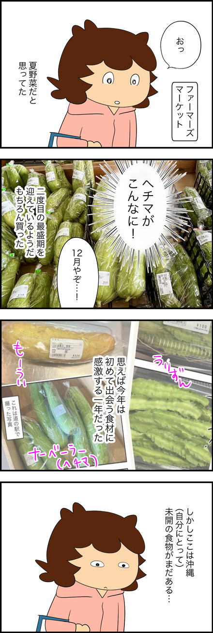 dec282025-1沖縄野菜