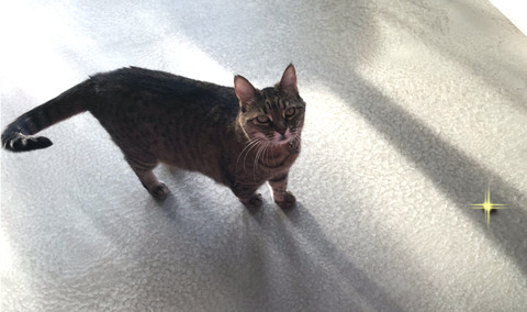 7FCBD4C7-E691-4E59-862E-26CDC8D79394