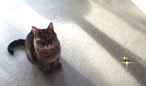 34797B67-A985-4A5D-9AE6-188ADC631873