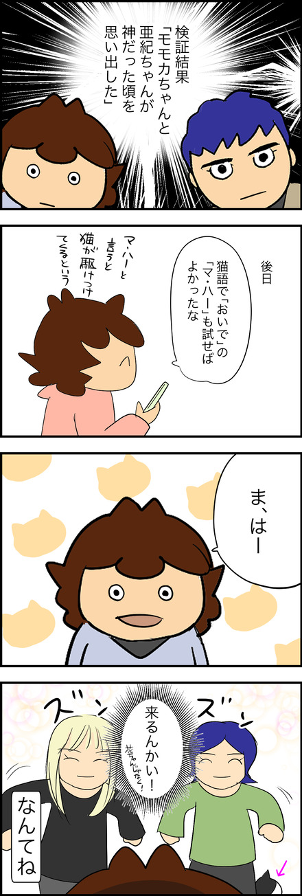 mar252026-3エジプト