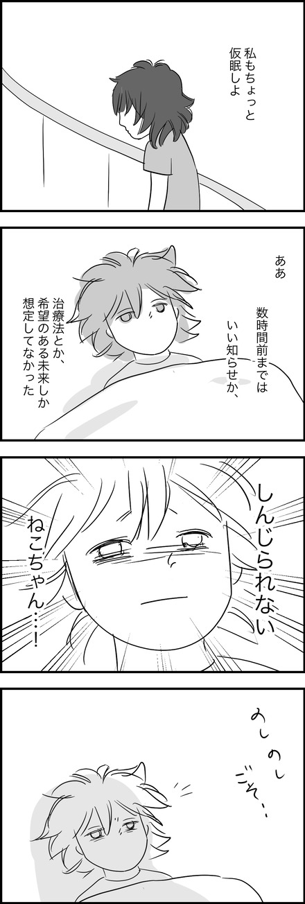 feb232024-1ねこちゃん