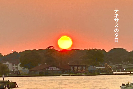 aug202023-3池