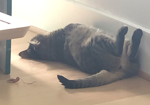 72F5E306-3184-490A-A61F-4524384E742D