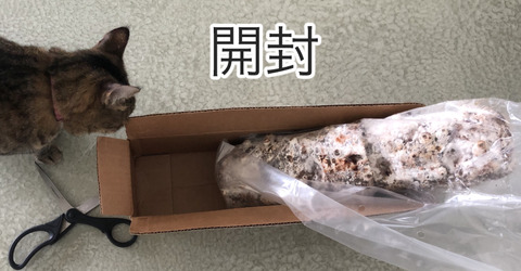 E644BF4E-FF29-4151-8F96-9133DAC874E4