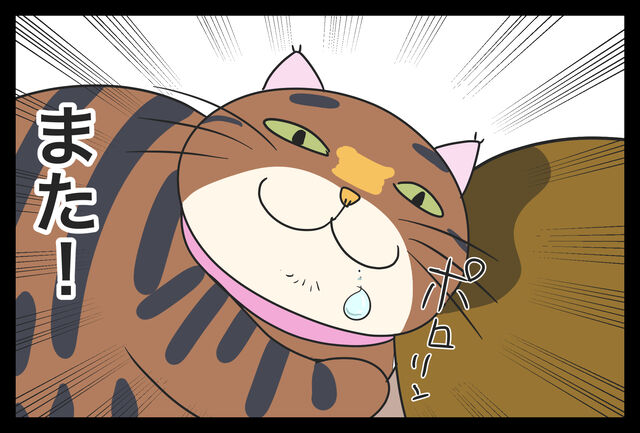 おっさんの頭皮のにおいで猫の唾液が止まらない現象 蓼食う虫もテキサス Powered By ライブドアブログ おっさんの頭皮のにおいで猫の唾液が止まらない現象 蓼食う虫もテキサス Powered By ライブドアブログ
