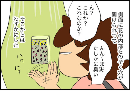 aug232025-3こんにゃく