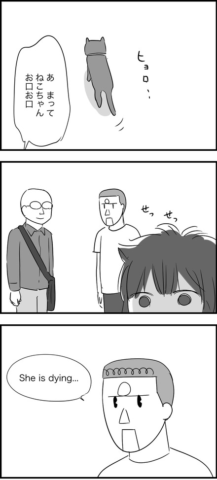 jun252024-1どーする