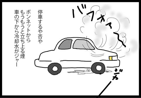 6bb1813f-s
