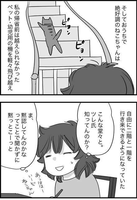 nov302023-2どーする