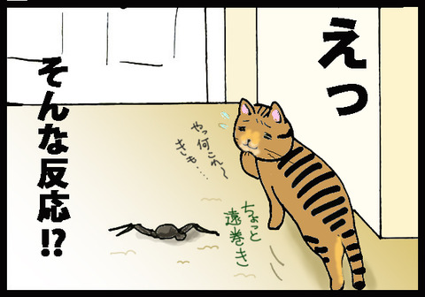 nekochan3-7