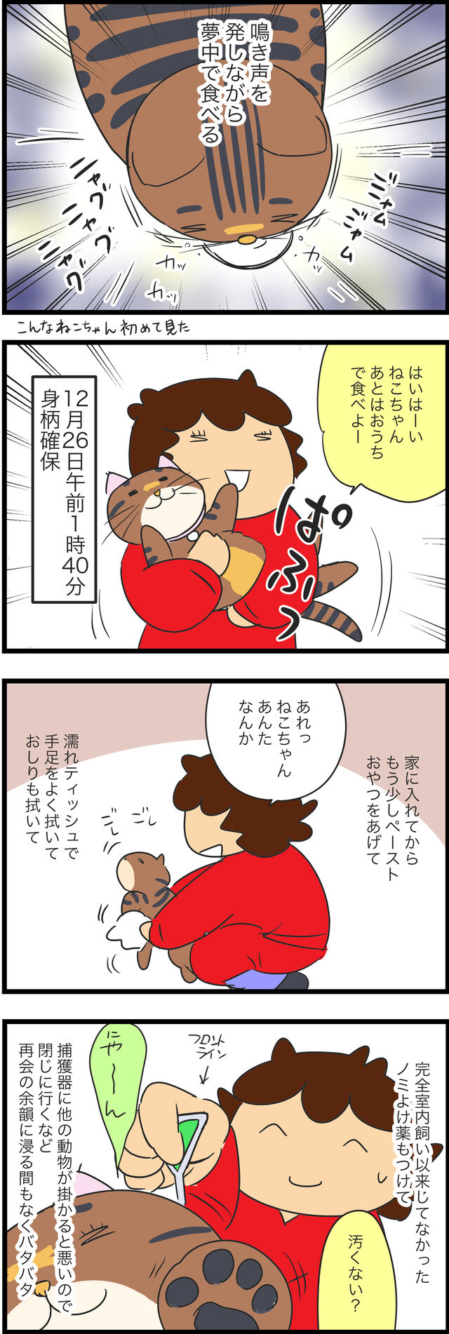 ねこちゃんがいなくなった19 蓼食う虫もテキサス Powered By ライブドアブログ ねこちゃんがいなくなった19 蓼食う虫もテキサス Powered By ライブドアブログ