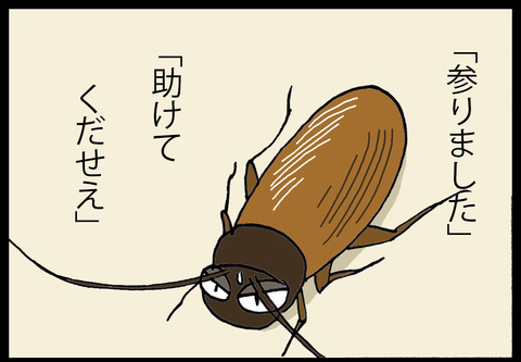 gnoito1-3