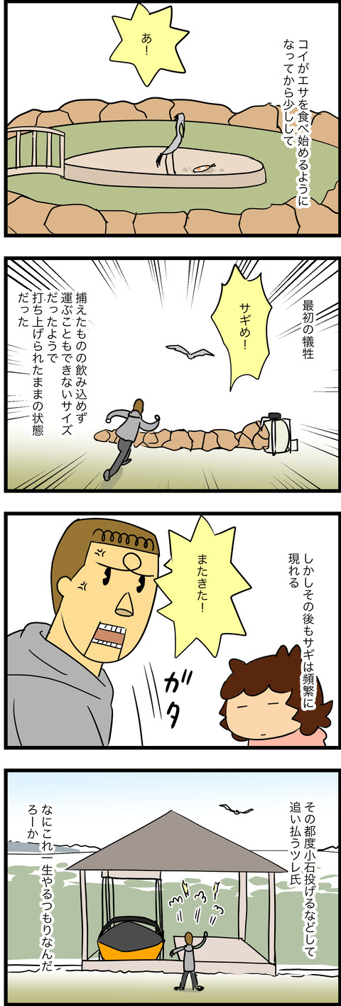 jan302023-8コイ