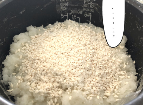 7E1068E9-4184-4C0F-9031-C27AABE17DF6