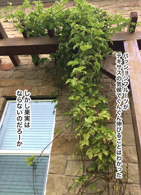 F58C57FD-467B-464C-B542-86EB6F876707