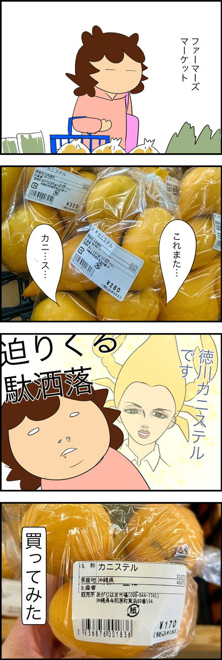 feb132026-1カニステル